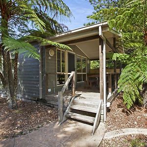 Family Cabin